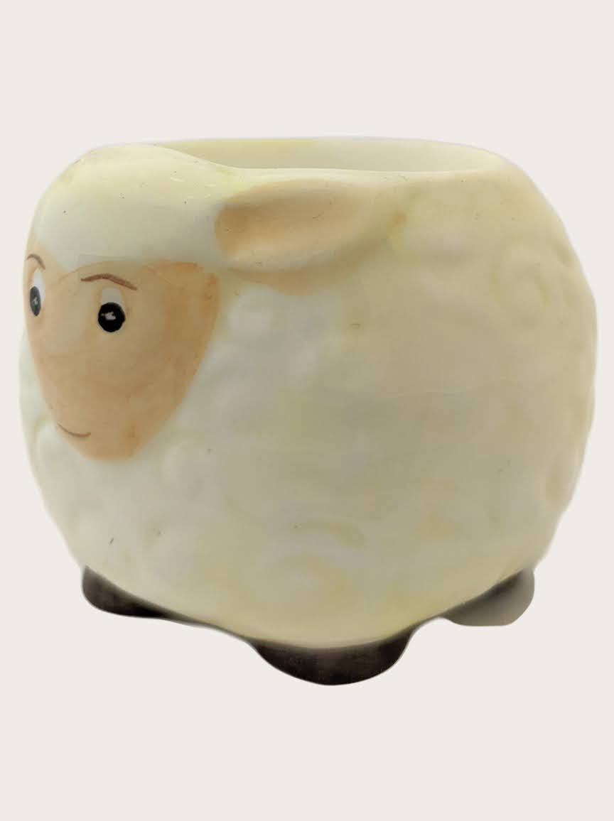 Vaječník #307a